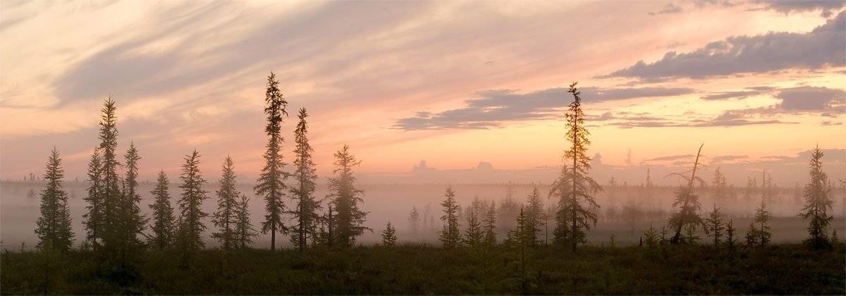 панорама,пейзаж, утро, туман, север, природа,, Danil Husainov