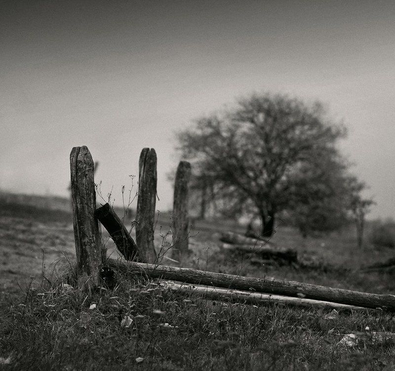 Зарисовки из Пирогово....photo preview