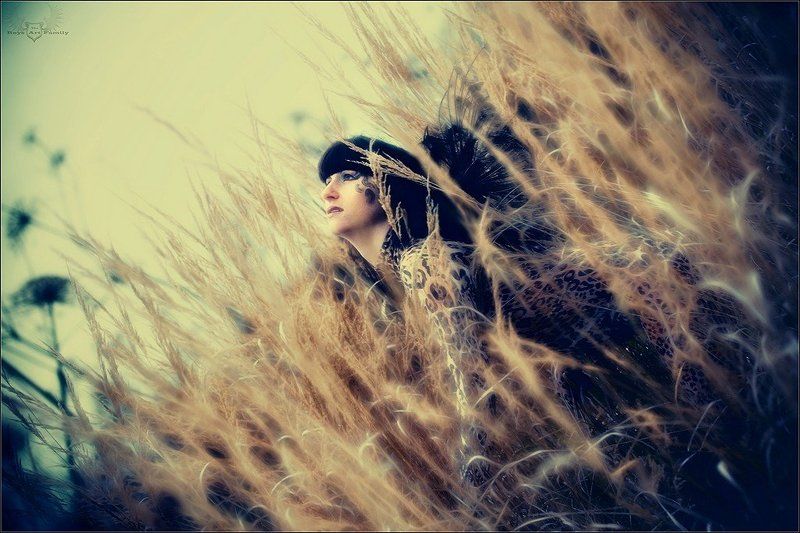 хищницаphoto preview