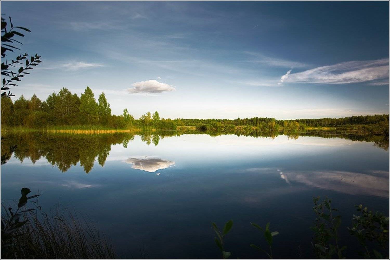 н.л.о.. Автор: seleznev , seleznev