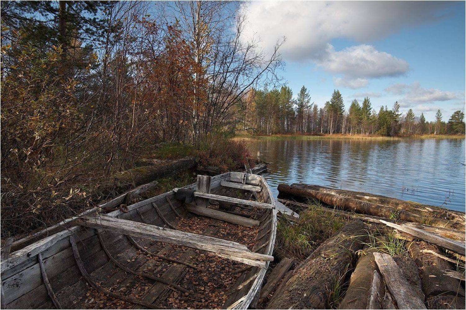 лодочка, с листиками, самоидентификация, лекарство от бессонницы, теперь и я фотограф, Alexander Fetisov
