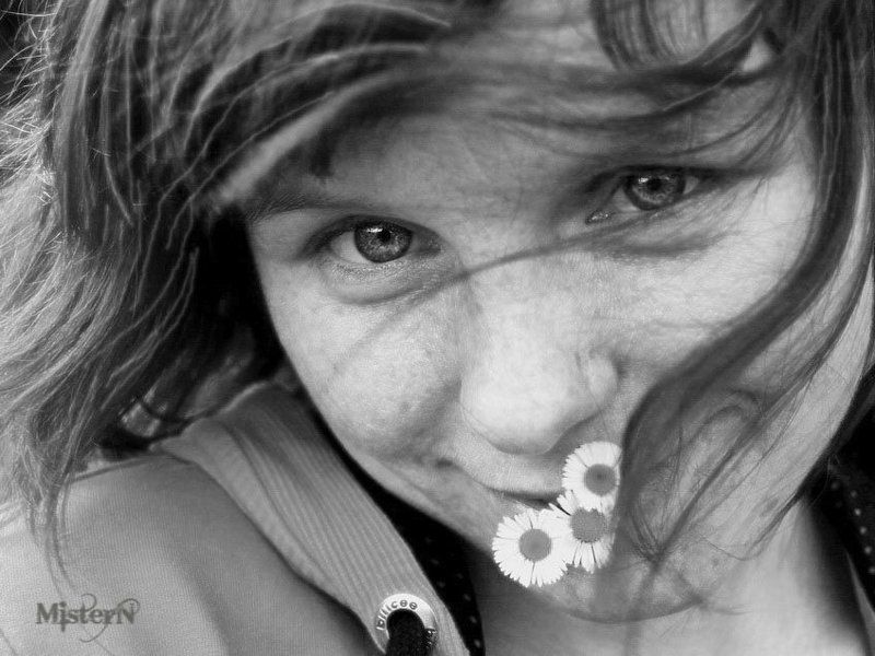 mistren,ветер,девушка,ромашки,нежный взгляд ветерphoto preview