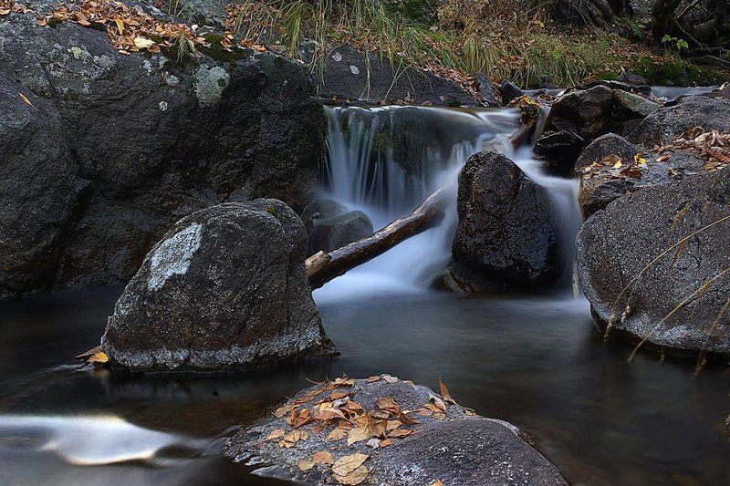зарисовкаphoto preview