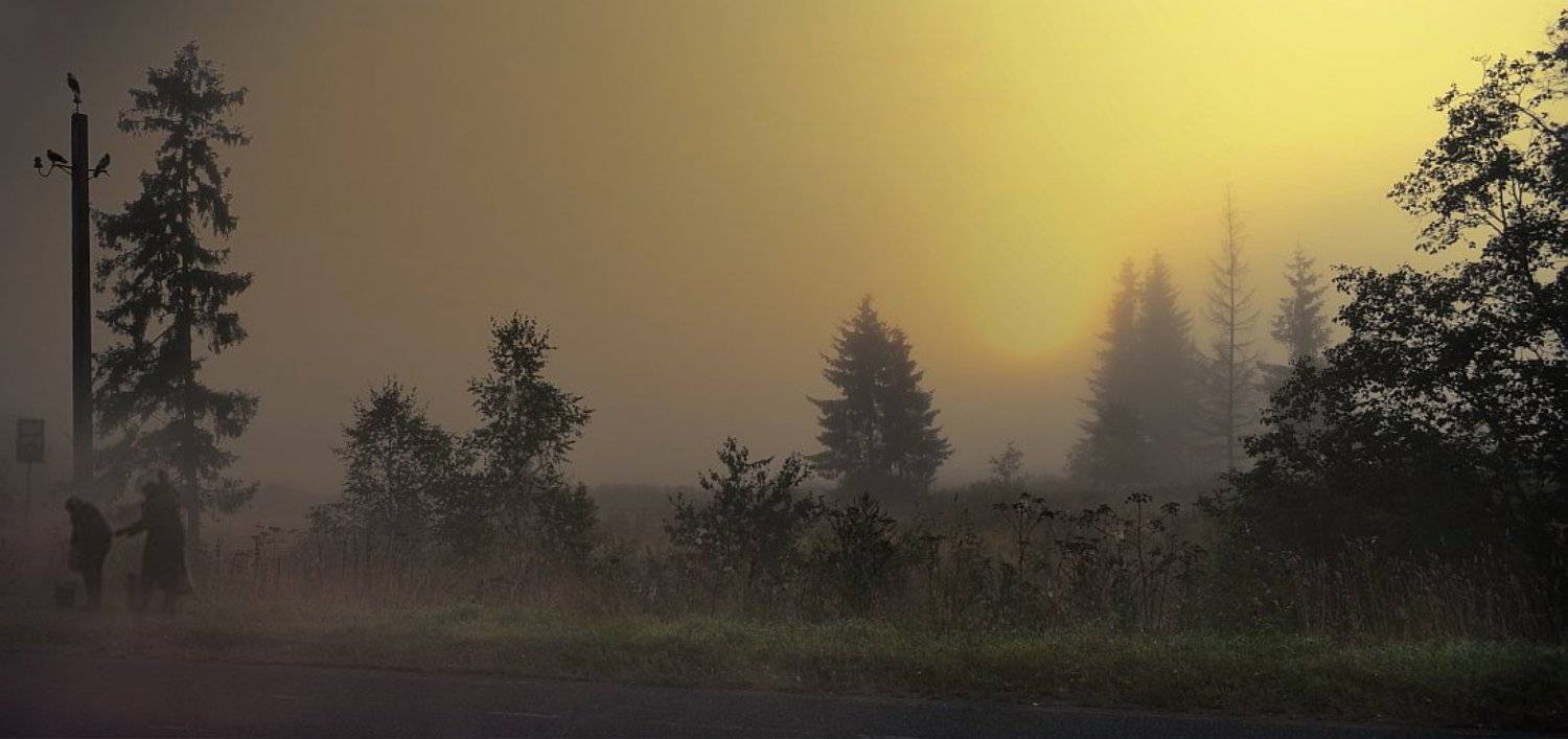 *Остановка по требованию*. Автор: Алпатов Игорь , Алпатов Игорь