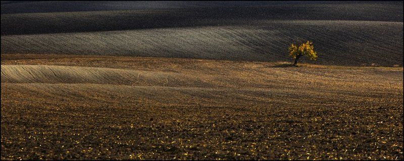 Земляphoto preview