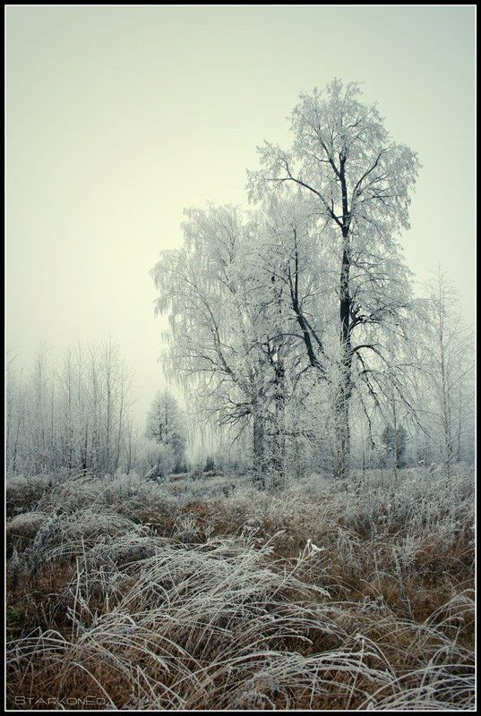 Ещё про осень...photo preview