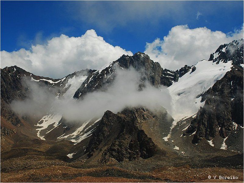 Холодный приемphoto preview