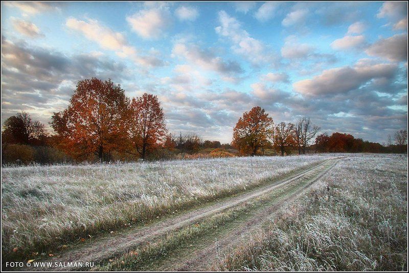 осень,соколки, Заморозки.photo preview
