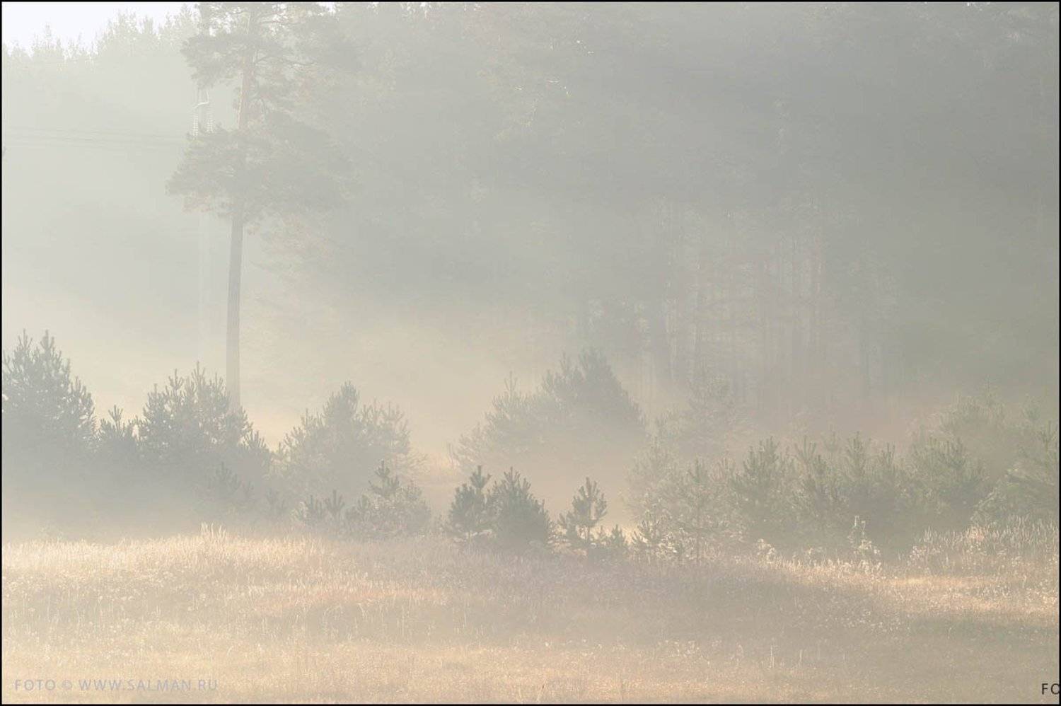 осень,дымка,, salman