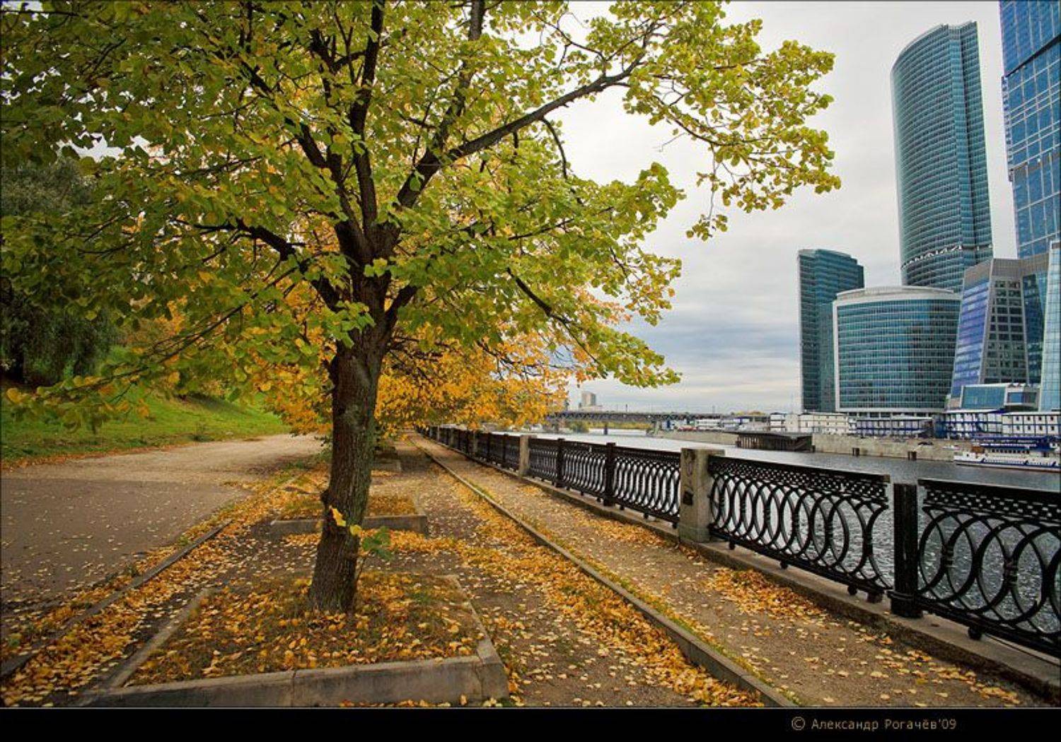 москва,сити,октябрь, Александр Рогачёв