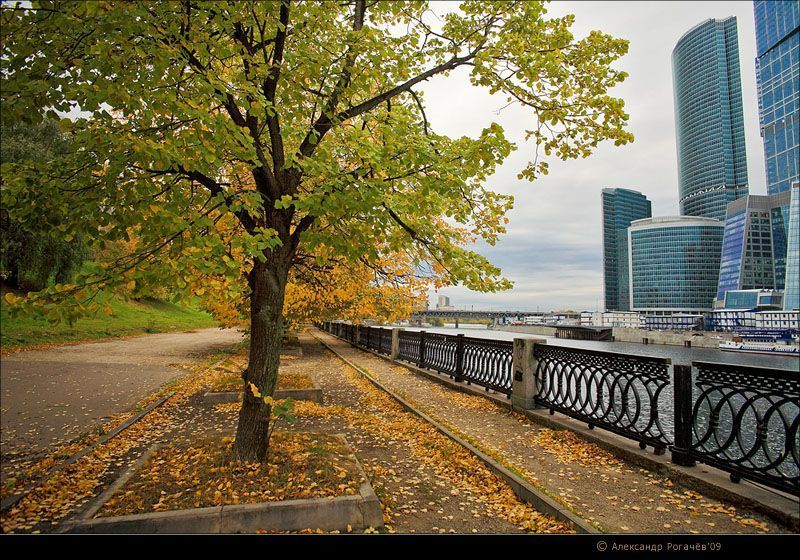 москва,сити,октябрь Осень в большом городе.photo preview