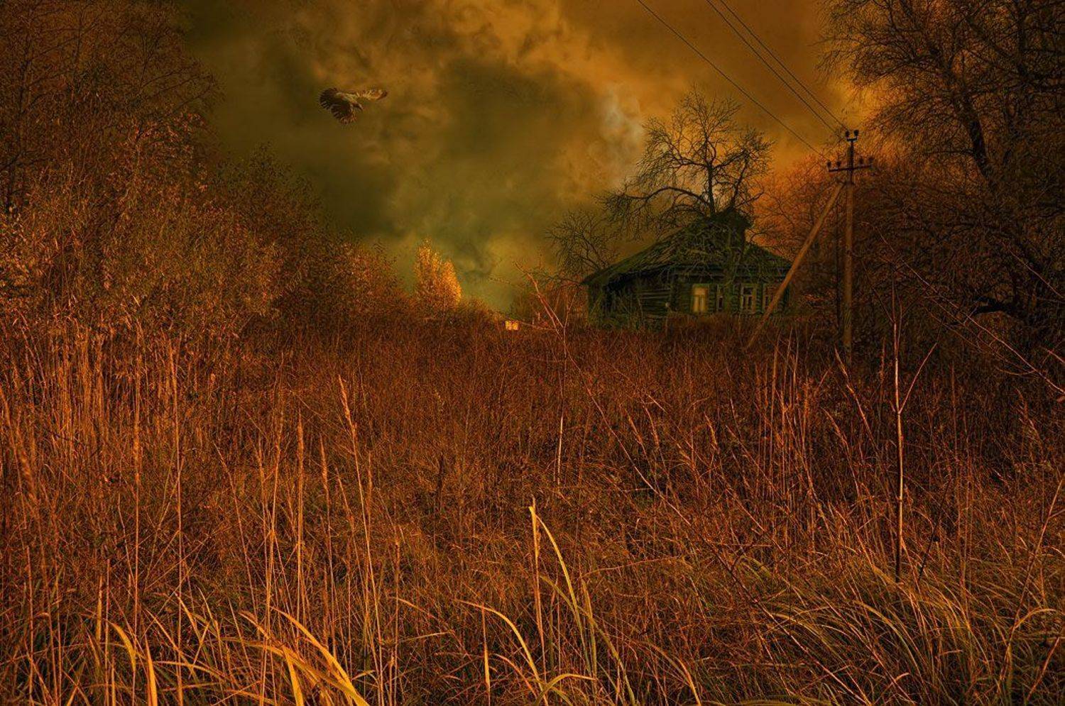 *Чем глубже осень..*. Автор: Алпатов Игорь , Алпатов Игорь