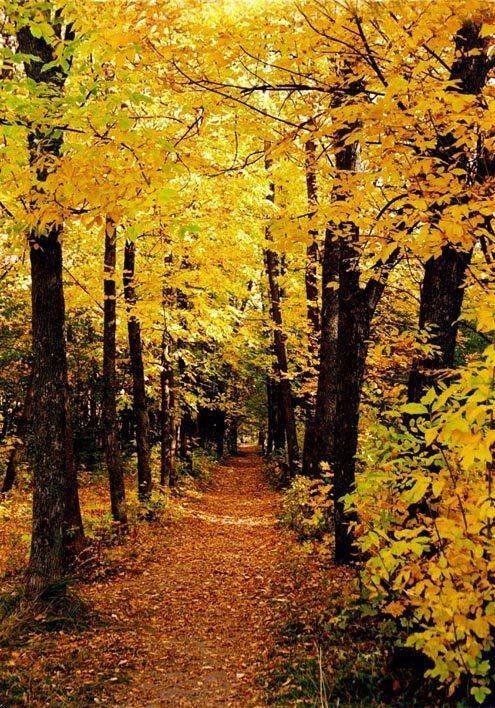 ...Осень... Арзамас. Автор: ИГОРЬ МЕЛЬНИКОВ , ИГОРЬ МЕЛЬНИКОВ