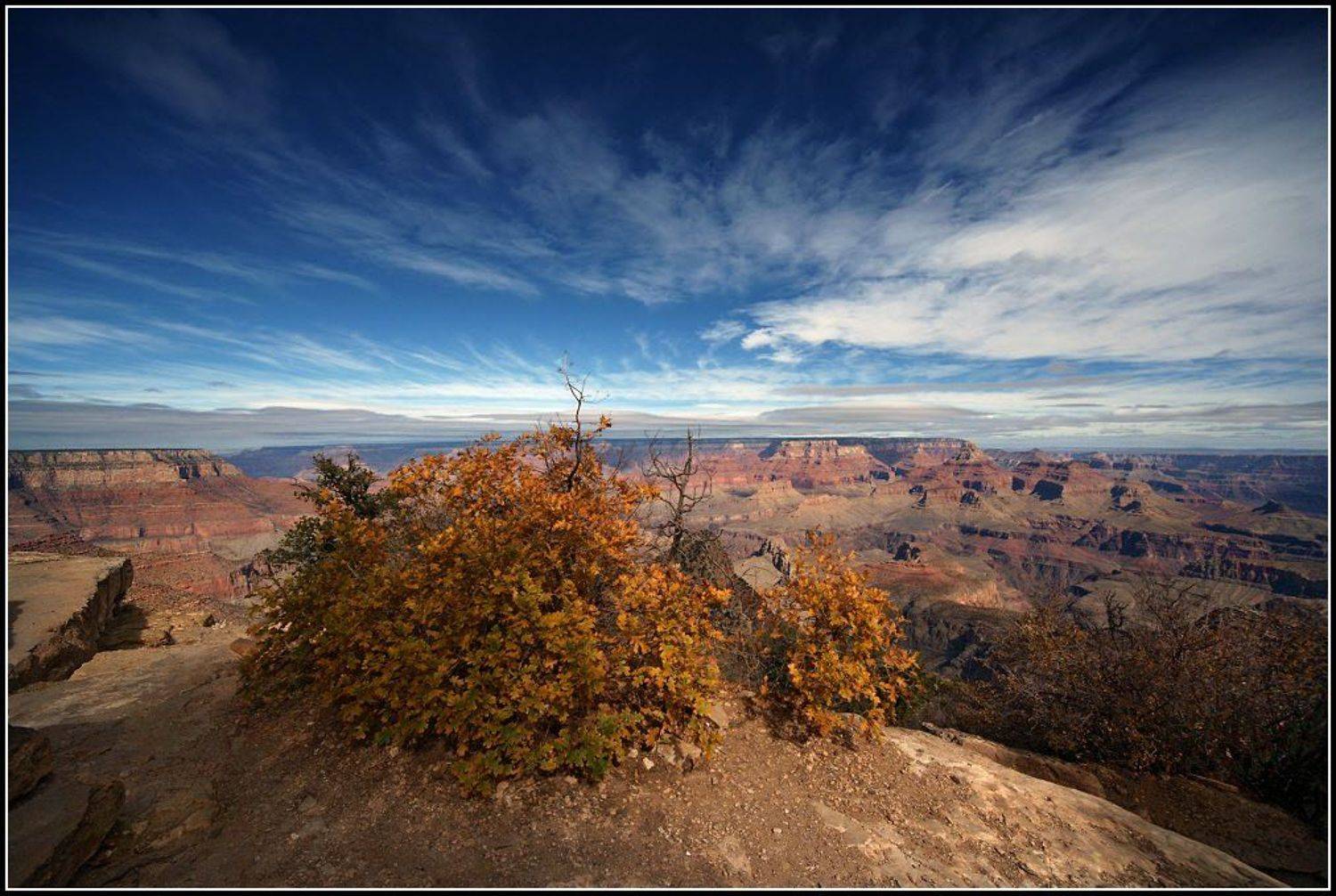 Осень. Автор: Yurma , Yurma