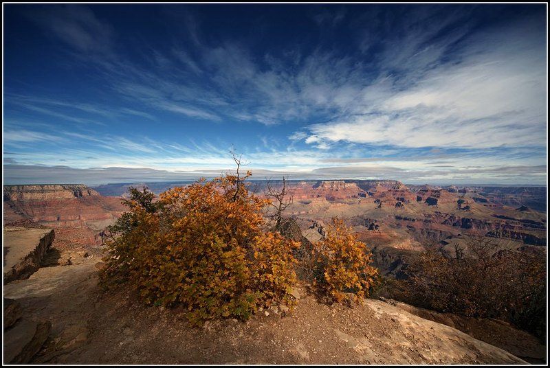 Осеньphoto preview