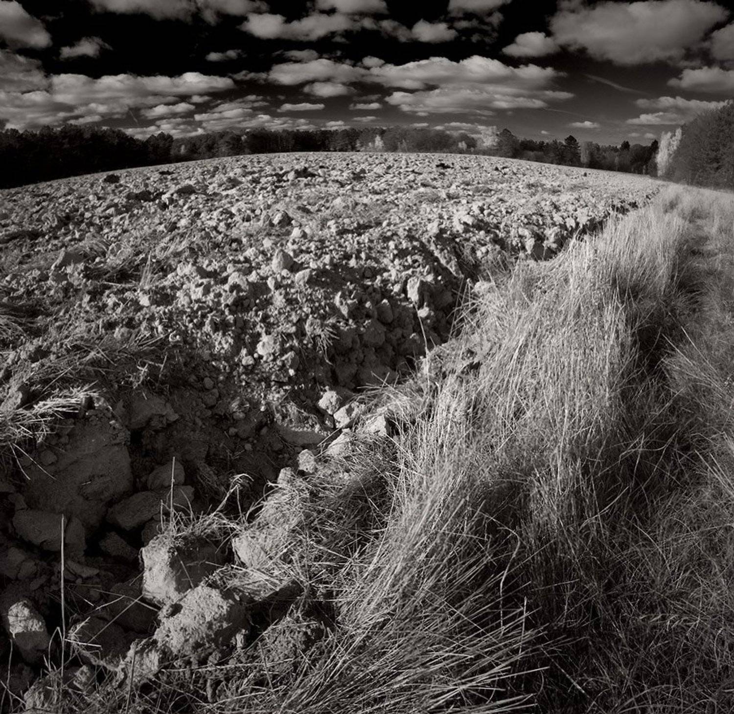 Земля.... Автор: Alex Vasilenko , Alex Vasilenko