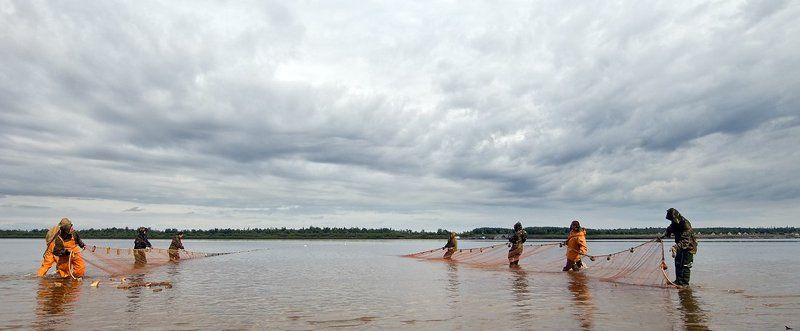 жизнь на краю земли, жанр, ненцы, путешествия, север из жизни рыбаков#8photo preview