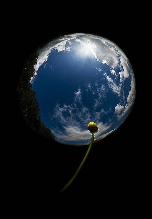 циркуляр, Сергей Шанин