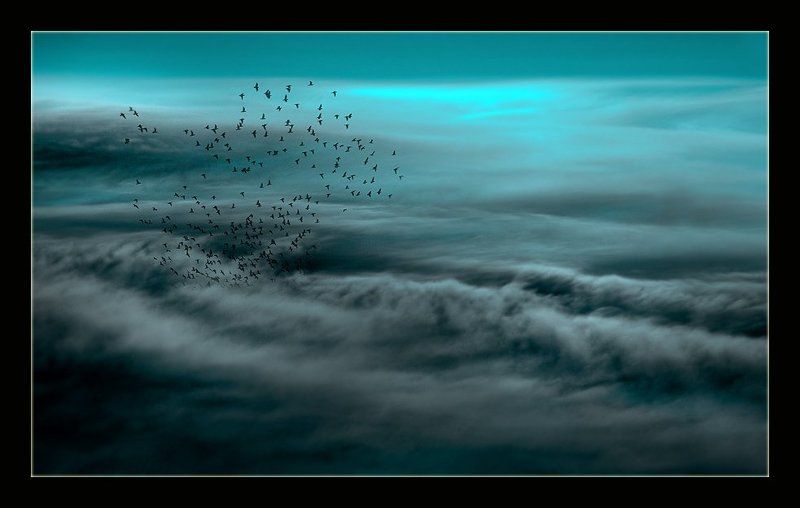 *** И дышать Ею буду век .. ***photo preview