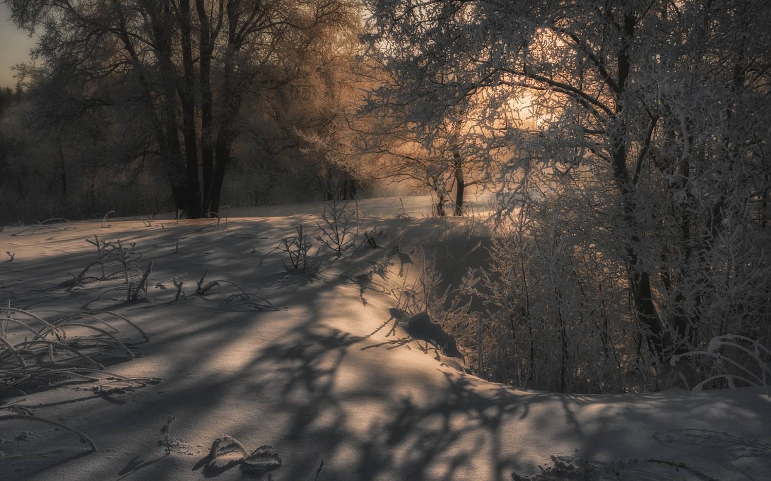 ***. Автор: Олег Дунаев , Олег Дунаев
