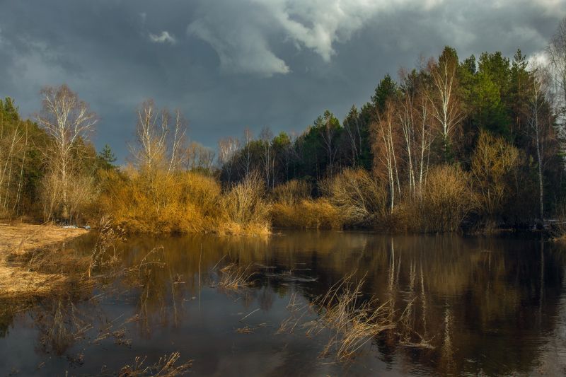 суходол серково весна апрель разлив вечер Суходол. Половодье. Закат.photo preview