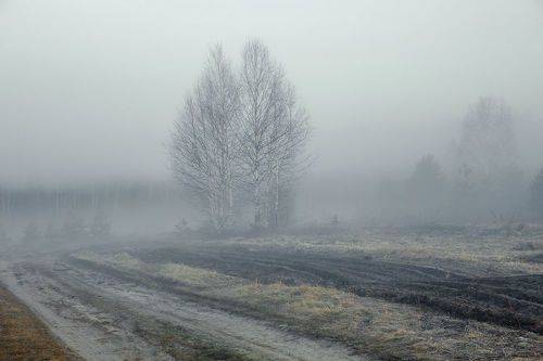 Грустное утро
