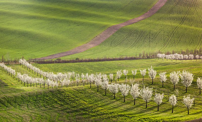 Моравская Тосканаphoto preview