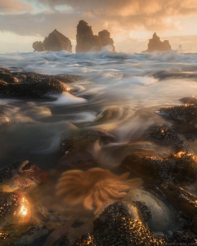 New Zealand 