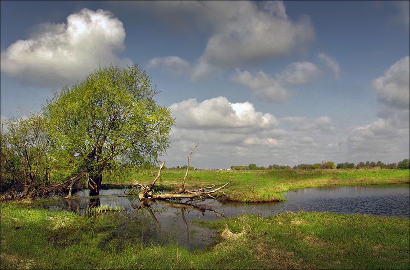 по Рязанской области...photo preview