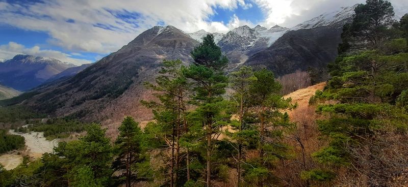 Горыphoto preview