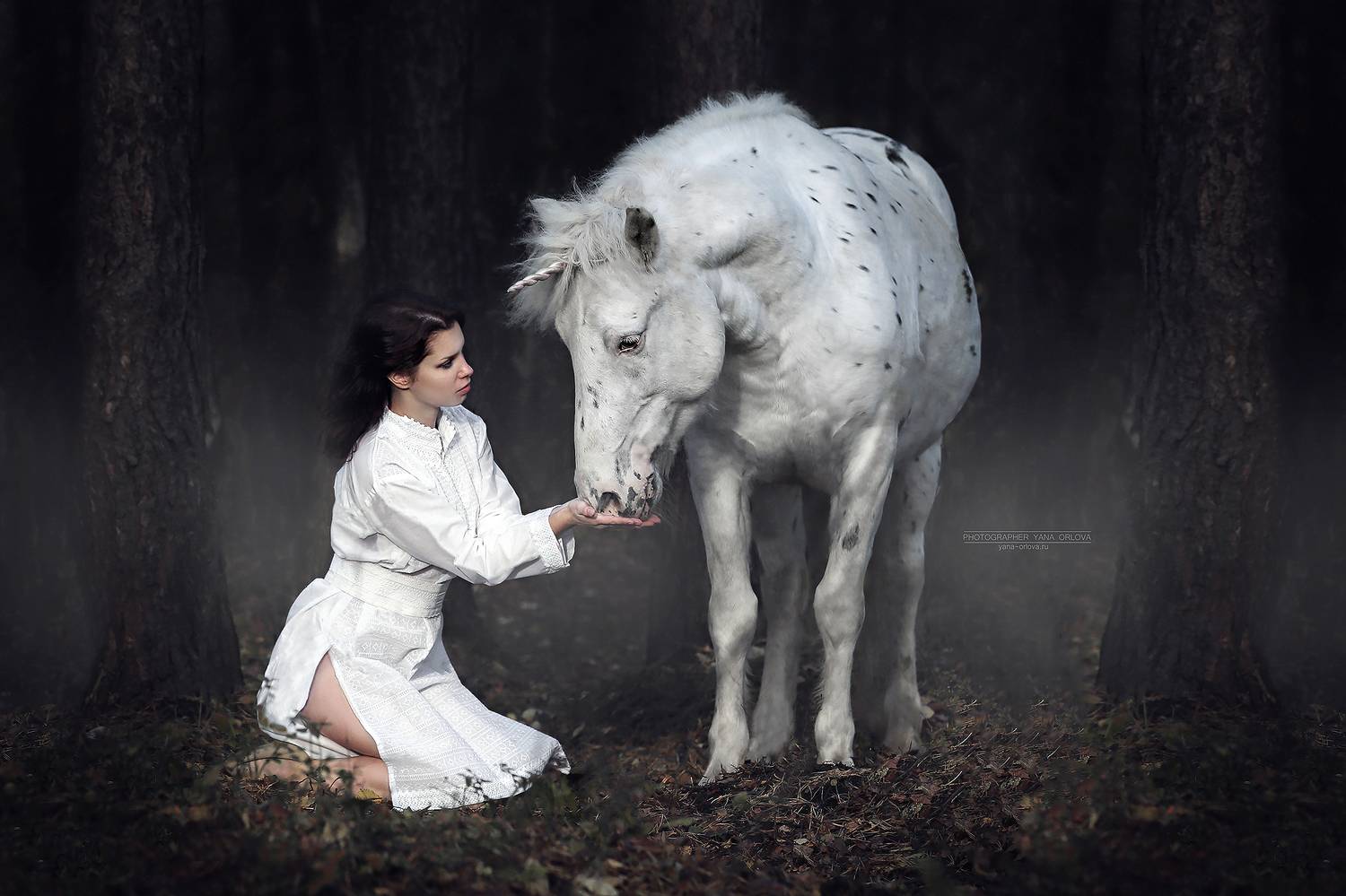 horse, horses, лошадь, конь, конныйфотограф, конный фотограф Яна Орлова, кэнон, canon, 7020028, лошади, фотографияслошадью, фотосессияслошадью, фотосессиислошадьми, коннаяфотография, pferd, horsephotographer, женский портрет, девушка , Яна Орлова