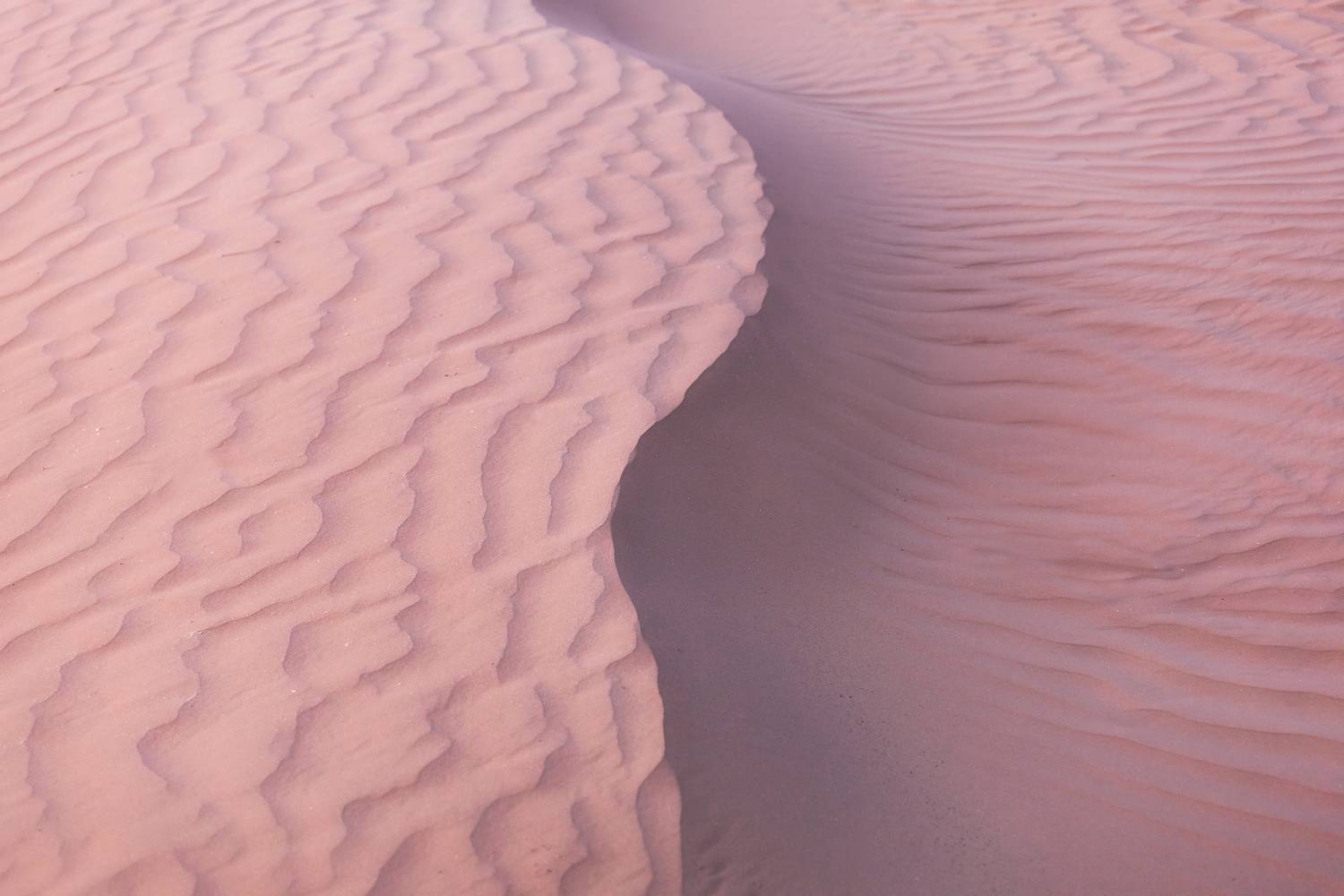 Автор: Влад Рябинин астрахань, астраханская область, пустыня, песок, дюны, закат, Влад Рябинин