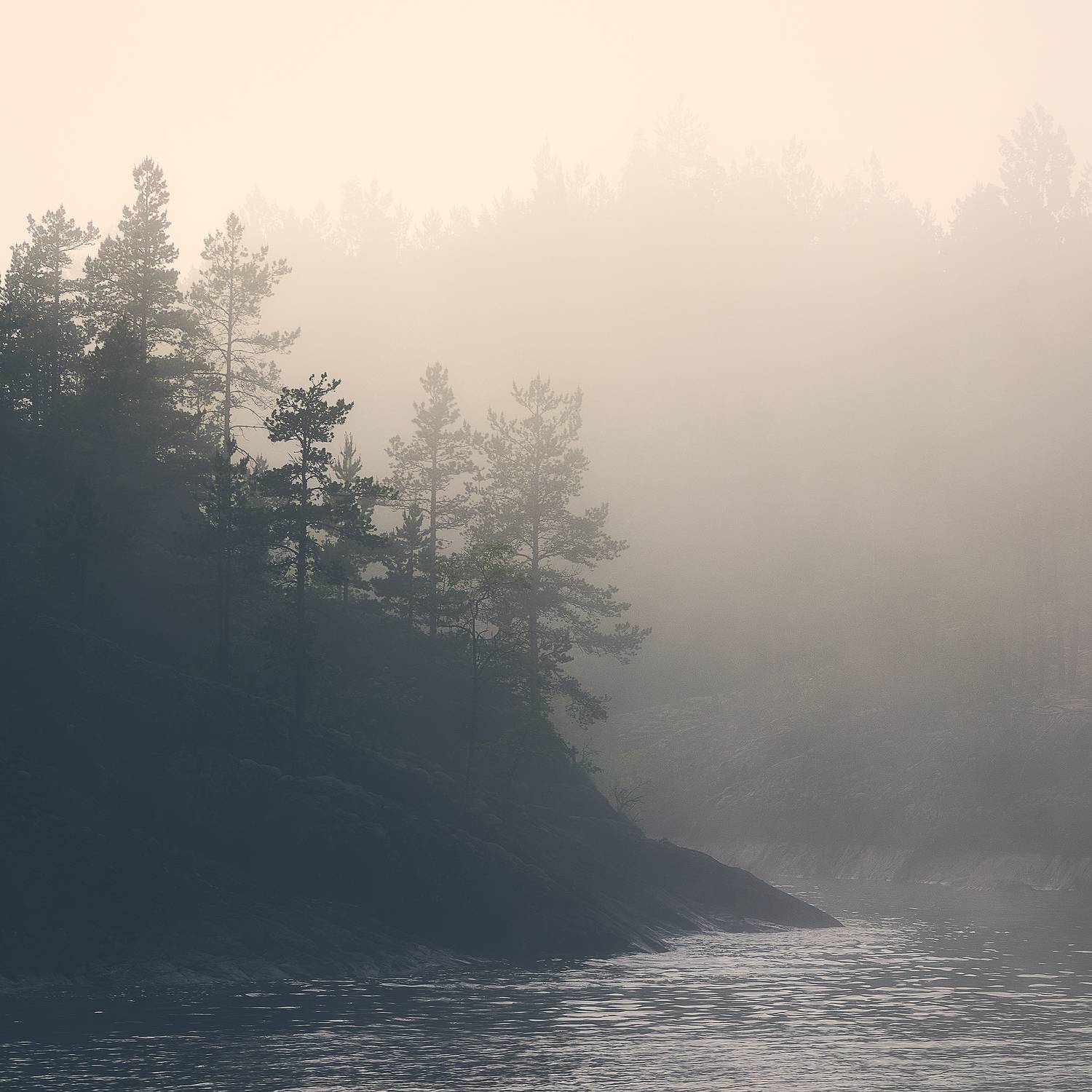 ***. Автор: Кононов Антон Туман, Ладога, Кононов Антон