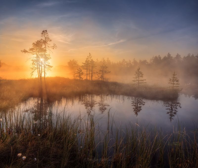 Солнечно, туманно...photo preview