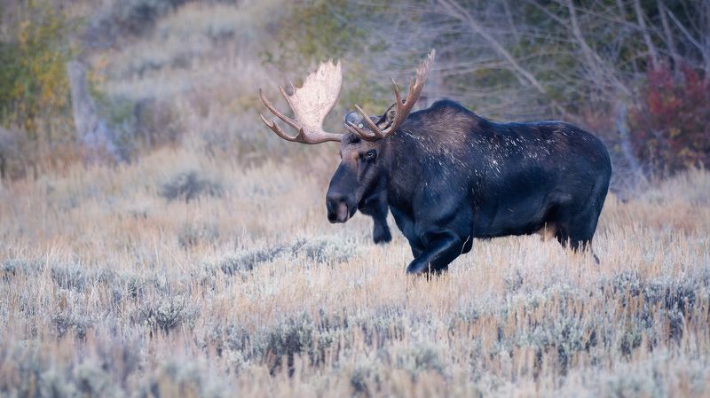 Полезный советphoto preview