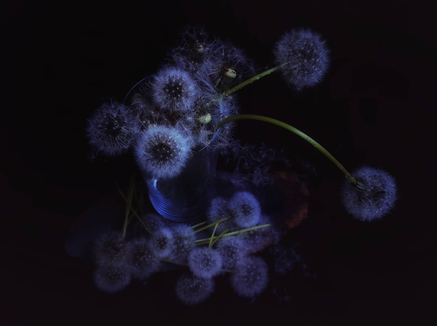 , Юлияна Стоянова