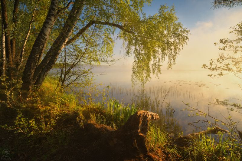 введенское озеро, тур по владимирской области Тепло рассветаphoto preview