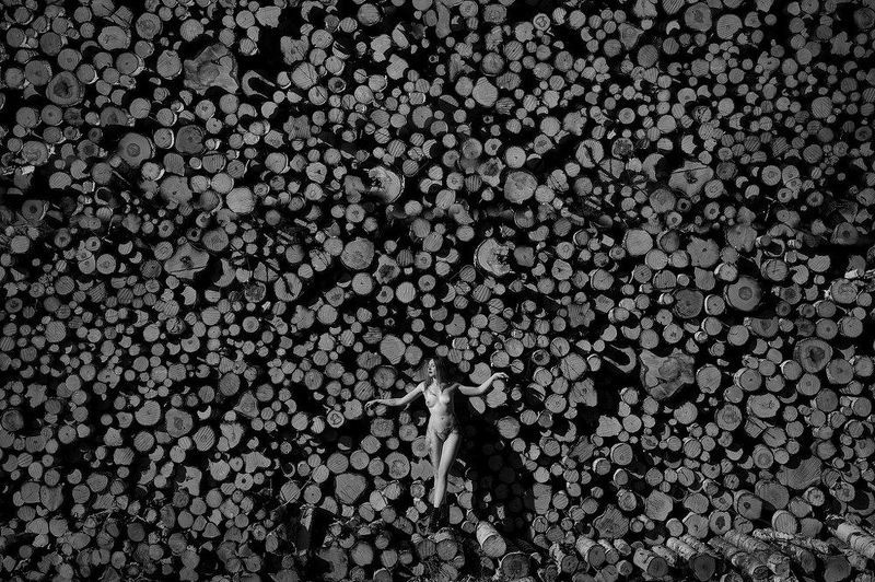 Летоphoto preview