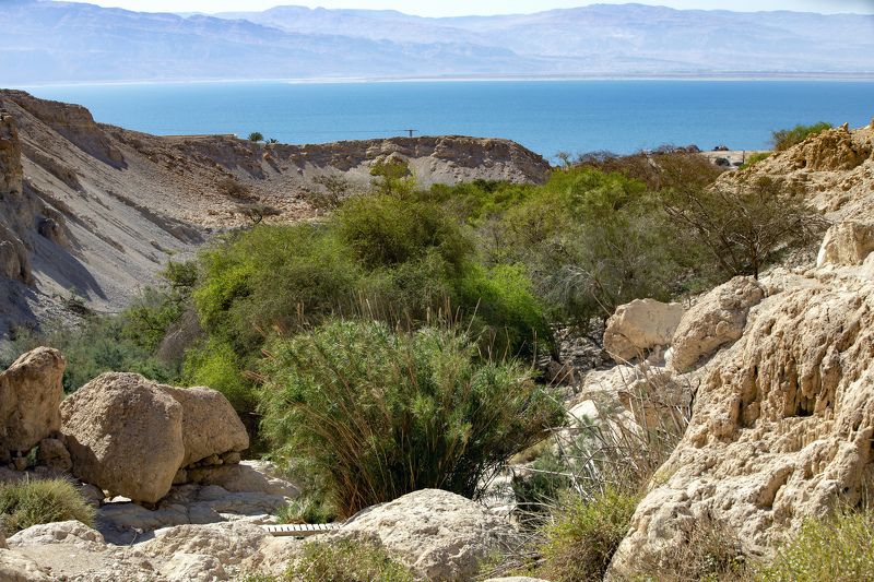 Прогулка по Нахаль Давидphoto preview