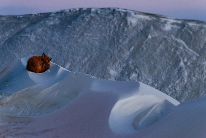 Чукотка ***photo preview