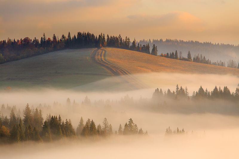 Осенние туманыphoto preview