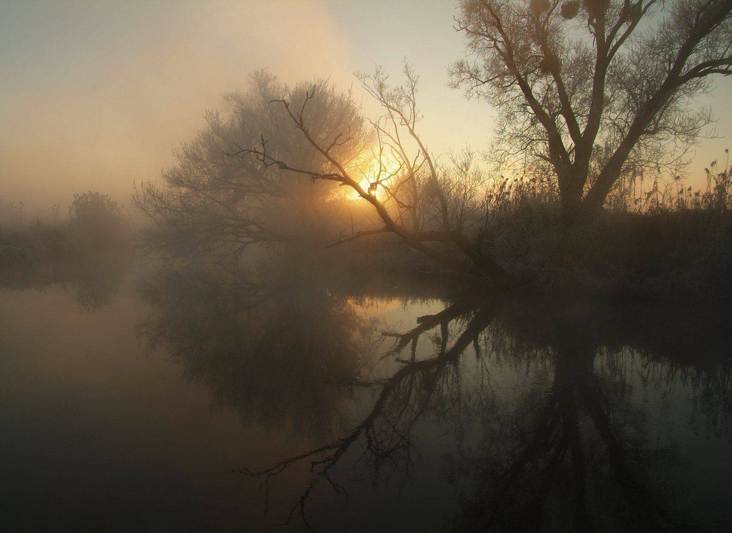 Автор: Screez , Screez