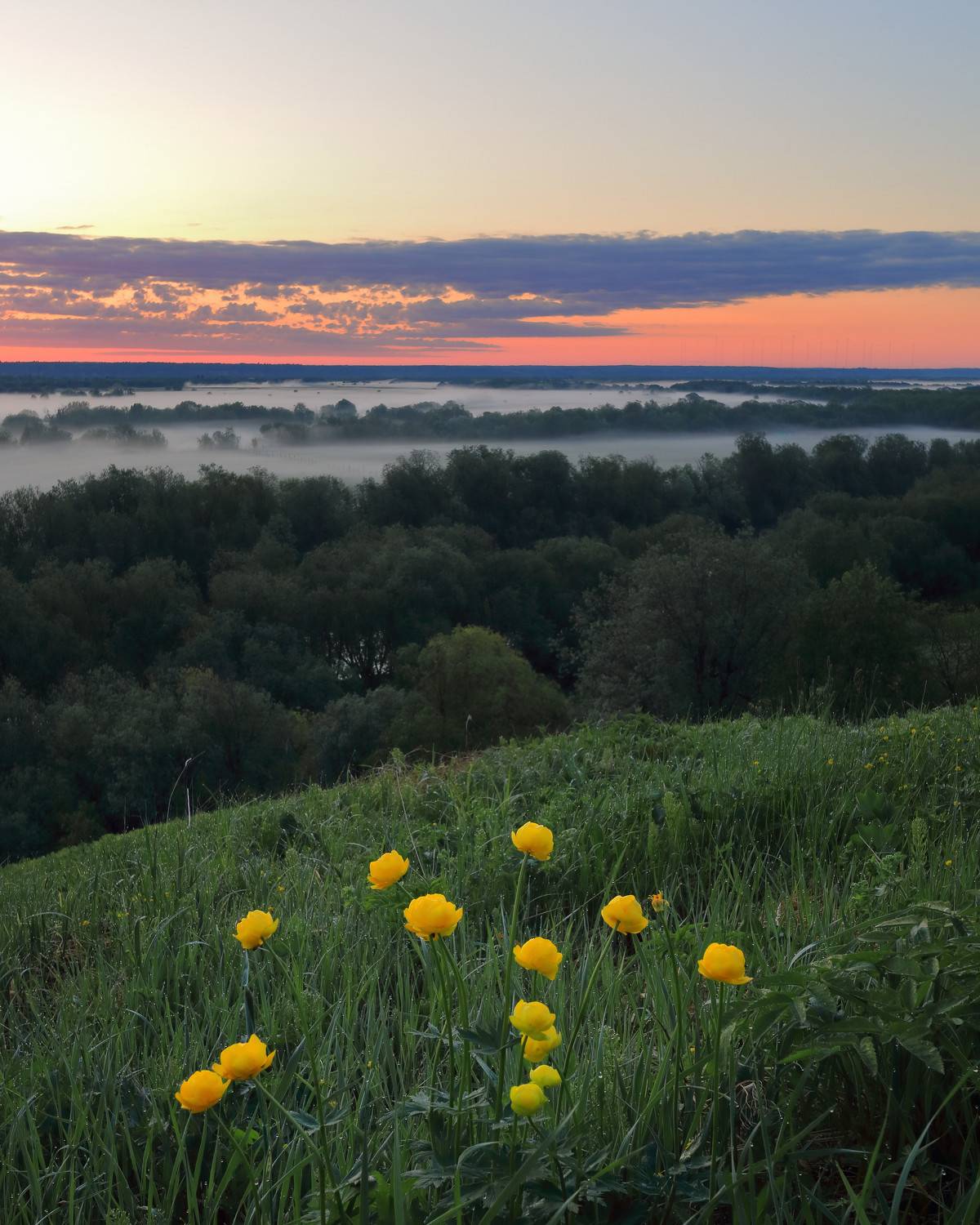 , Титов Александр