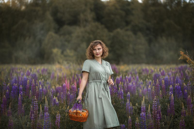 Люпиныphoto preview