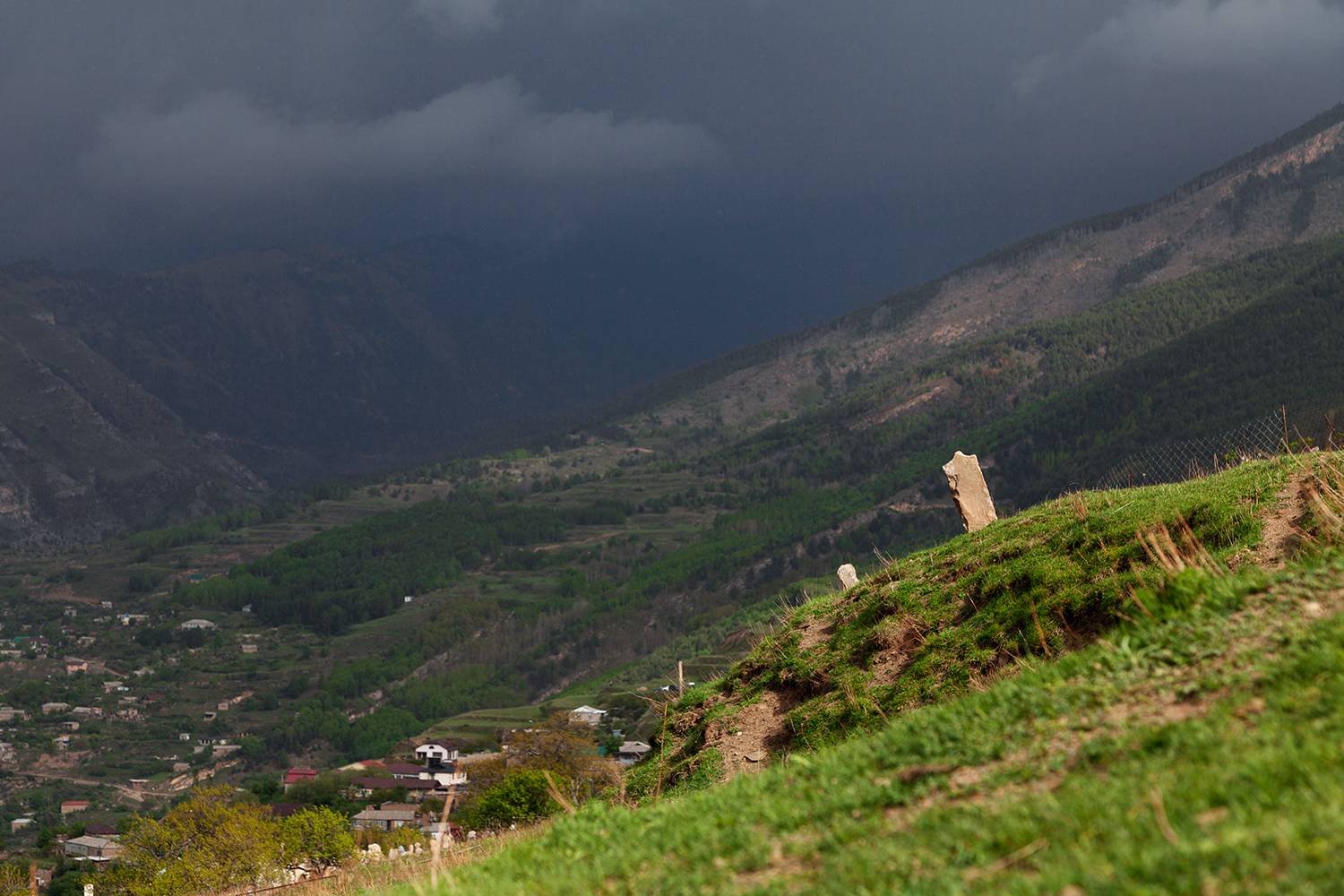 В Гооре. Автор: Медведникова Мария , Медведникова Мария