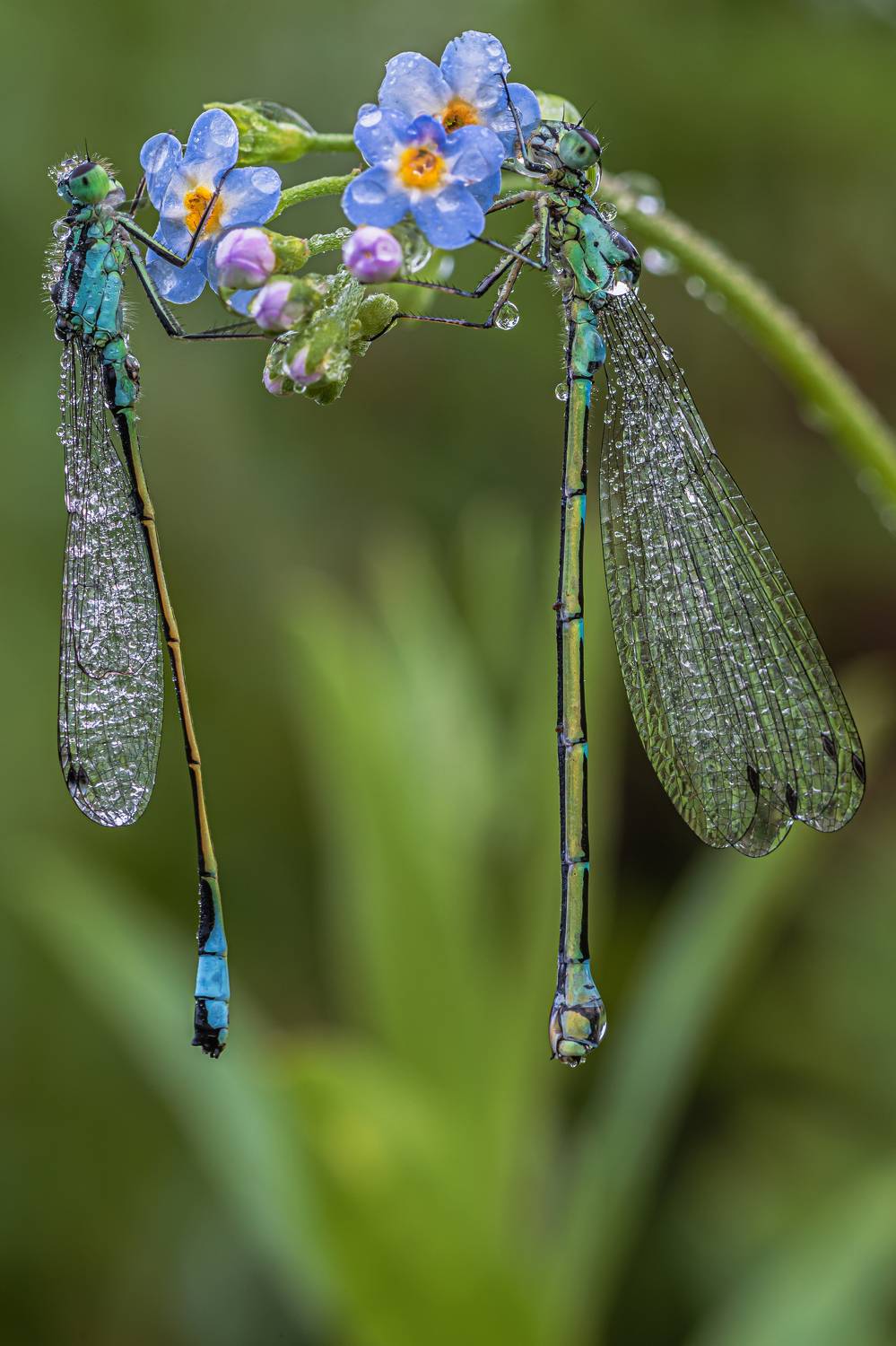 , Зайцев Роман