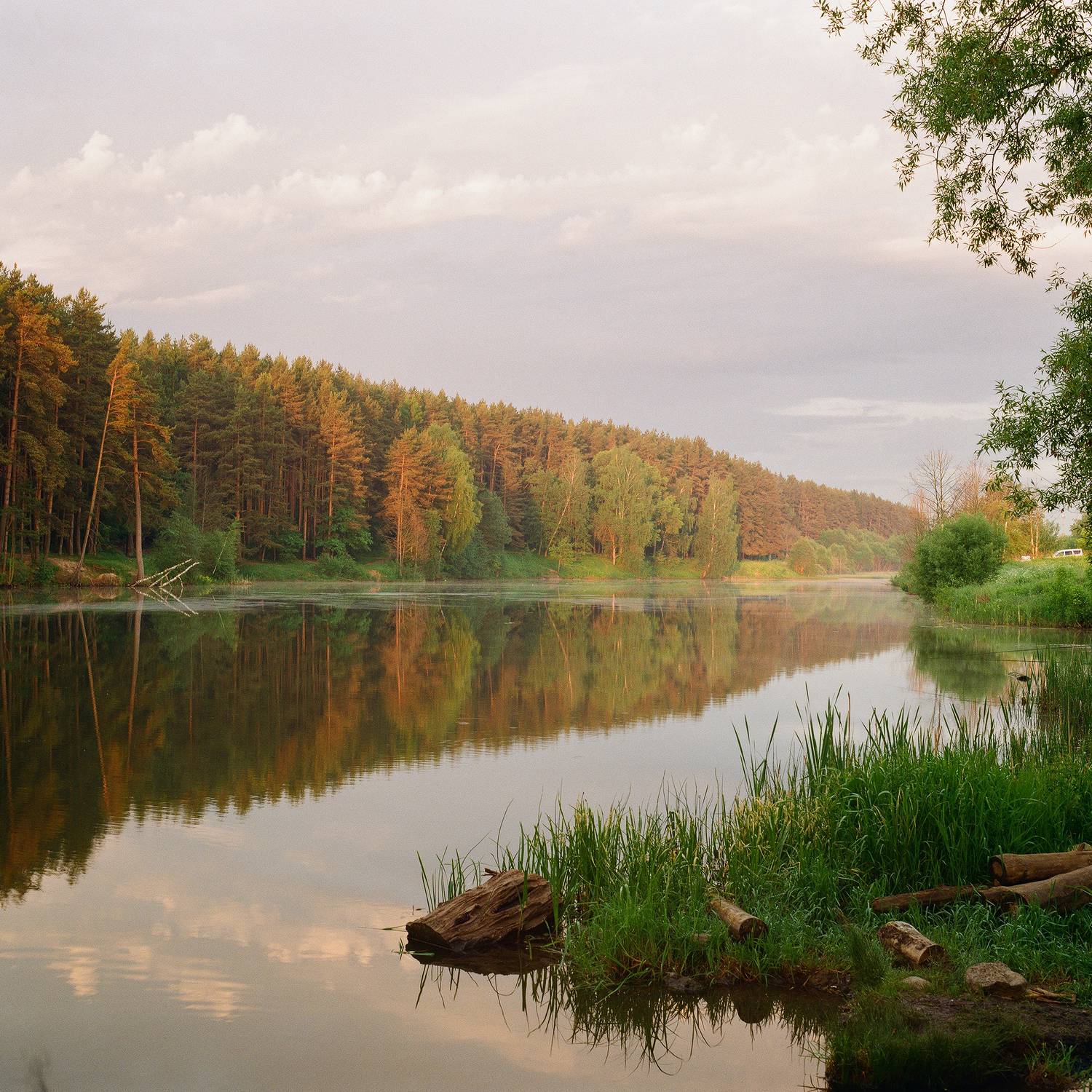 Июньское утро. Автор: Мартыненко Дмитрий пейзаж, пленка, широкая пленка, пейзаж на пленку, природа, Московская область, рассвет, Мартыненко Дмитрий