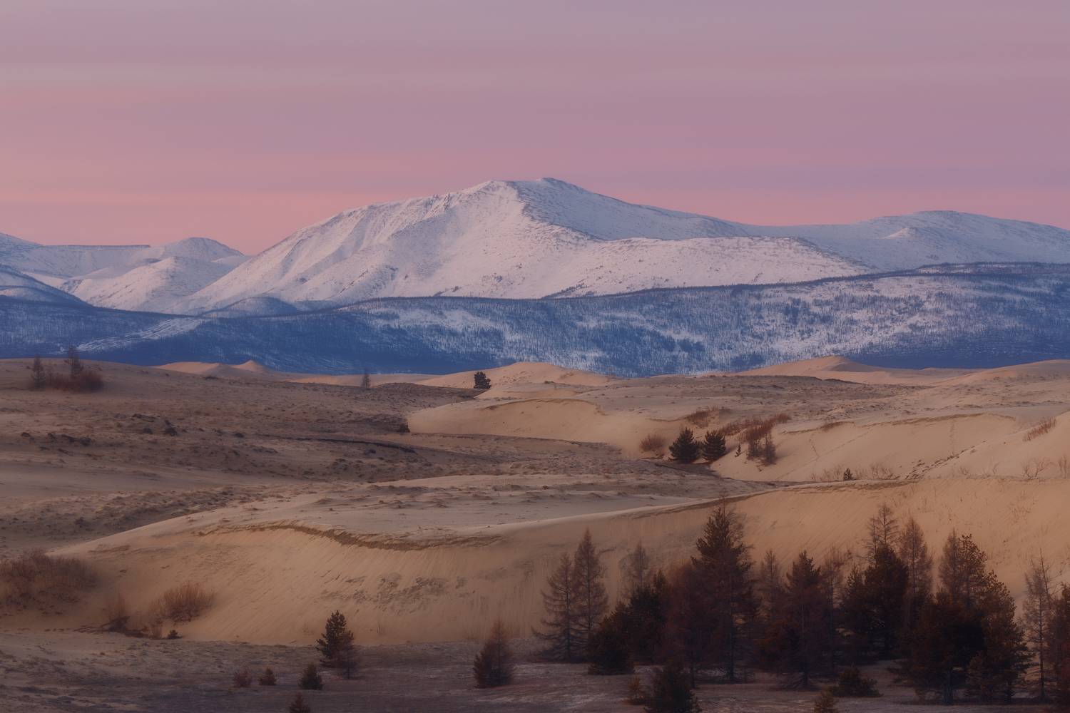 Забайкальский край Чарские пески Чара пустыня утро, Шишкин Дмитрий