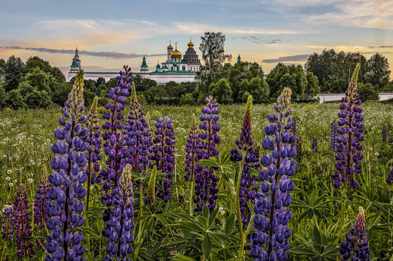 Тихим вечером перед грозой. Автор: Вячеслав Бирюков новый иерусалим, Вячеслав Бирюков