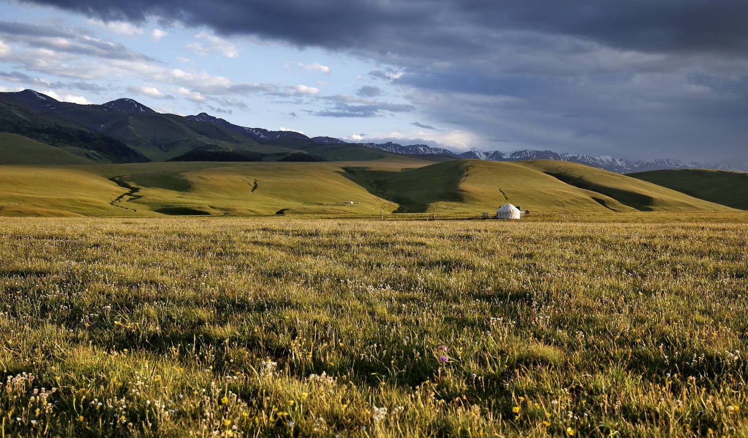 АССЫ ТУРГЕНЬ. Автор: Sergio , Sergio